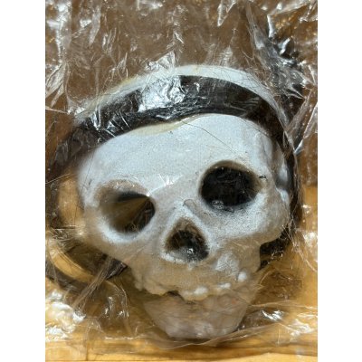 画像2: Dreadful Skull【C】