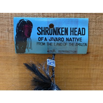 画像7: SHRUNKEN HEAD【E】