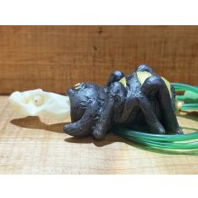 他の写真1: クモのヌード出し【E】