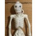 画像3: Skull チープトイ【A3】 (3)