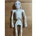 画像2: Skull チープトイ【A3】 (2)