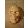 画像1: プラ製 SKULL ※Junk (1)