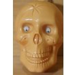 画像2: プラ製 SKULL ※Junk (2)