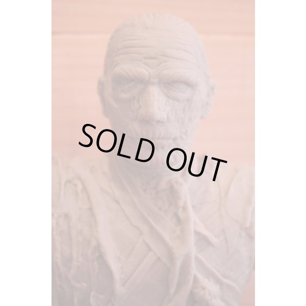 画像3: ツクダ製 マミー ソフビ (3)