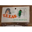 画像2: TEXAS HOUSE FLY (2)