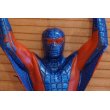 画像4: Mexican Spiderman (4)