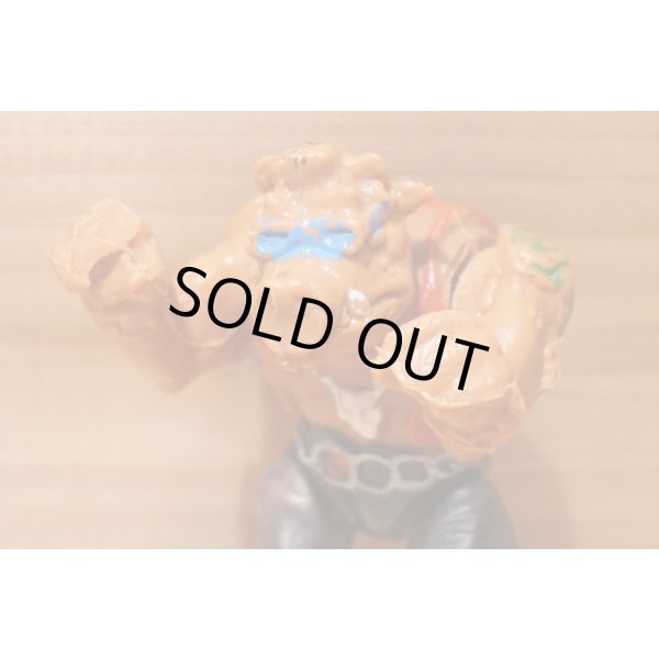 画像6: MEXICAN TURTLES  (6)