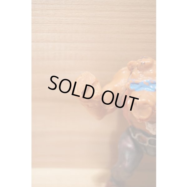 画像3: MEXICAN TURTLES  (3)