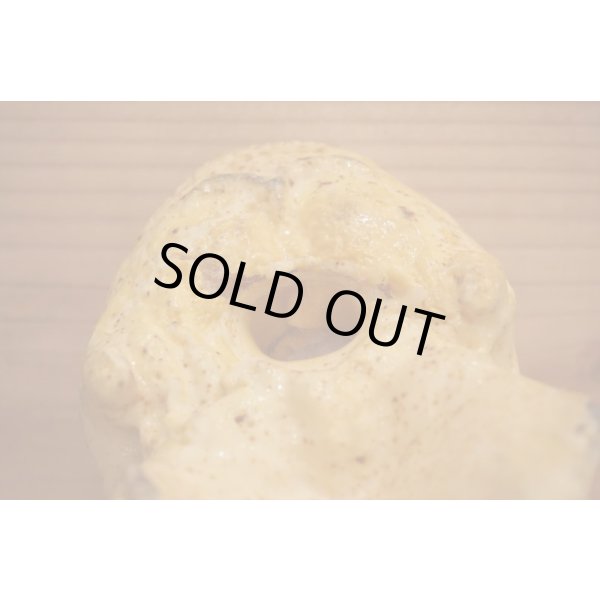 画像4: RUBBER SKULL HEAD (4)