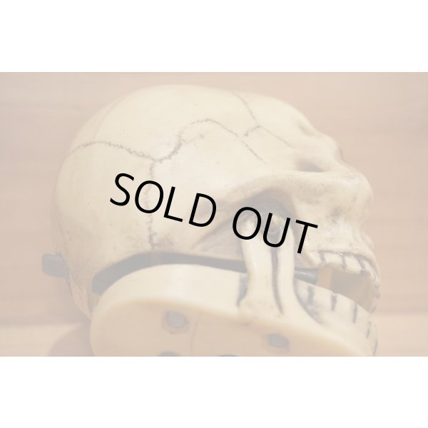 画像6: ソフビ製 笑うドクロ (6)