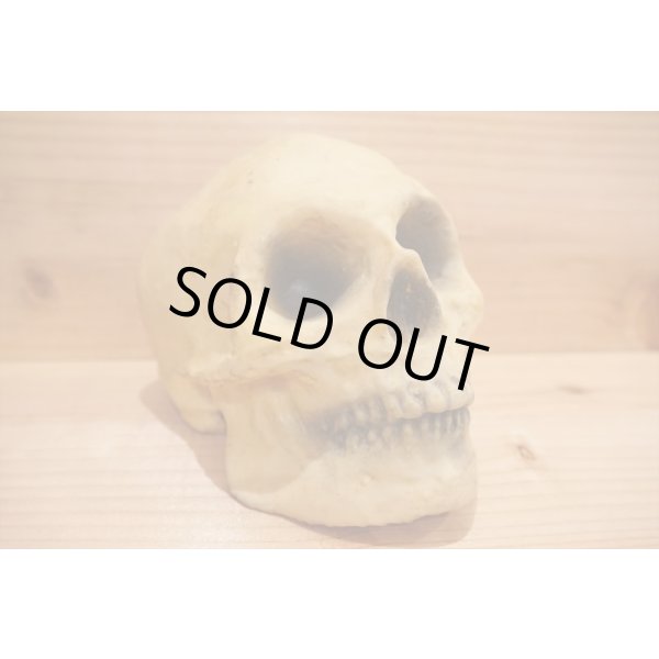 画像6: RUBBER SKULL HEAD (6)