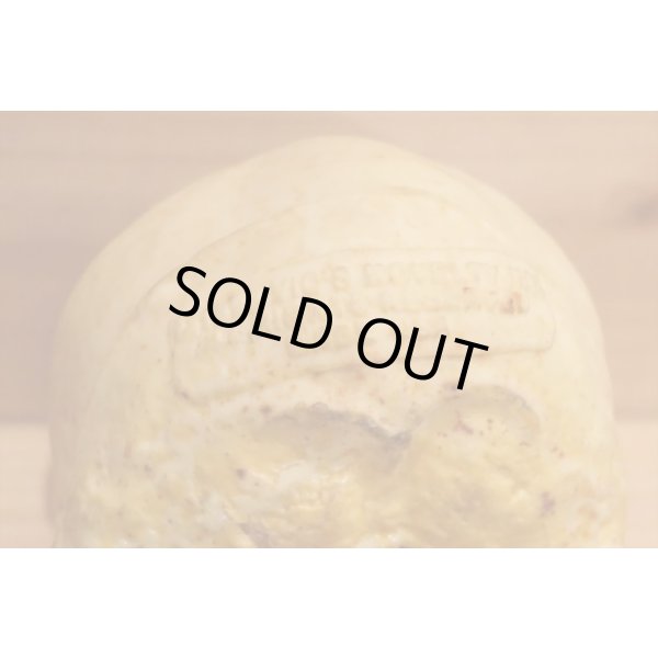 画像5: RUBBER SKULL HEAD (5)