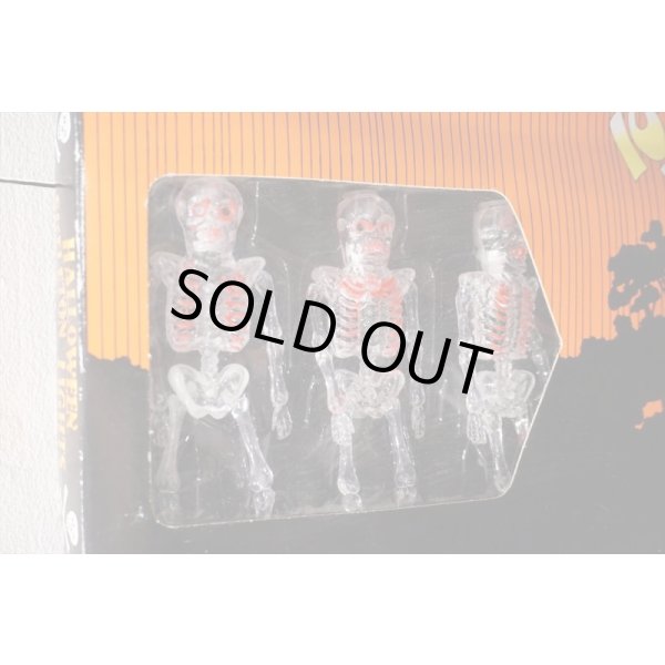 画像5: Skull Halloween Light Set 【D】 (5)