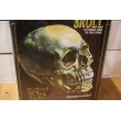 画像4: LIFE-SIZE HUMAN SKULL (4)