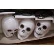 画像5: Skull Halloween Light Set 【C】 (5)