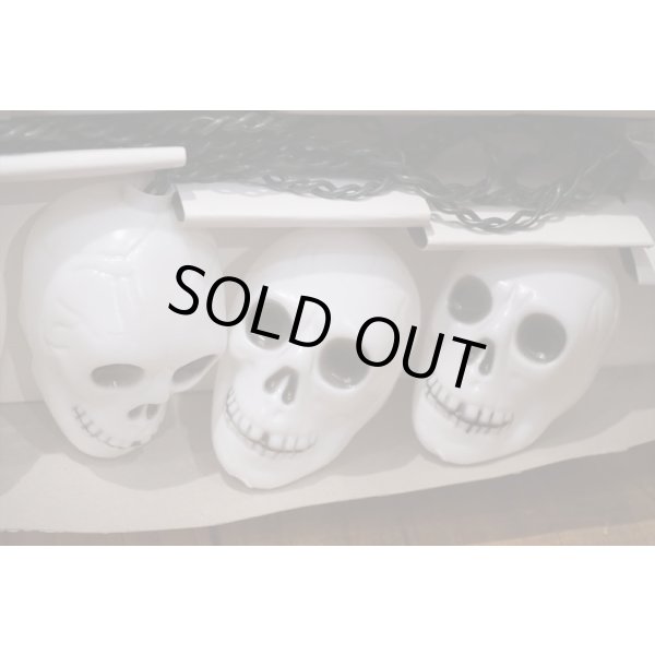 画像5: Skull Halloween Light Set 【C】 (5)