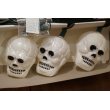 画像5: Skull Halloween Light Set 【B】 (5)