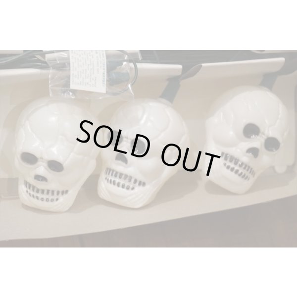 画像5: Skull Halloween Light Set 【B】 (5)
