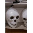 画像2: Skull Halloween Light Set 【C】 (2)