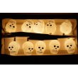 画像6: Skull Halloween Light Set 【A】 (6)