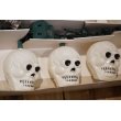 画像5: Skull Halloween Light Set 【A】 (5)