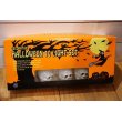 画像3: Skull Halloween Light Set 【A】 (3)