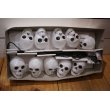 画像4: Skull Halloween Light Set 【C】 (4)