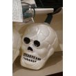 画像2: Skull Halloween Light Set 【B】 (2)