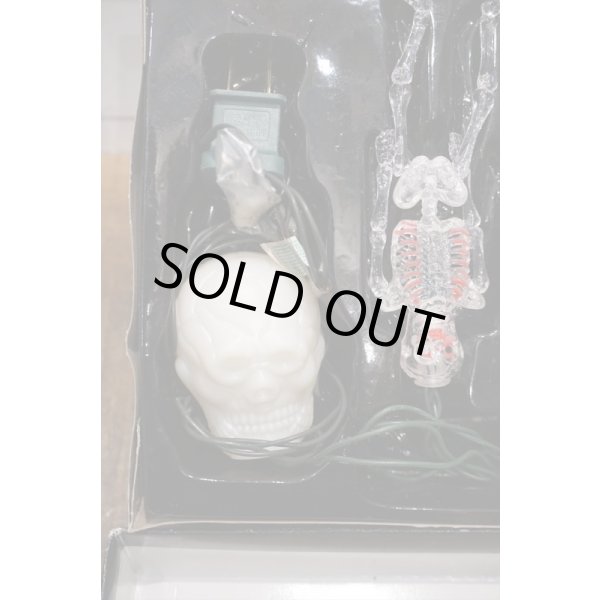 画像4: Skull Halloween Light Set 【D】 (4)