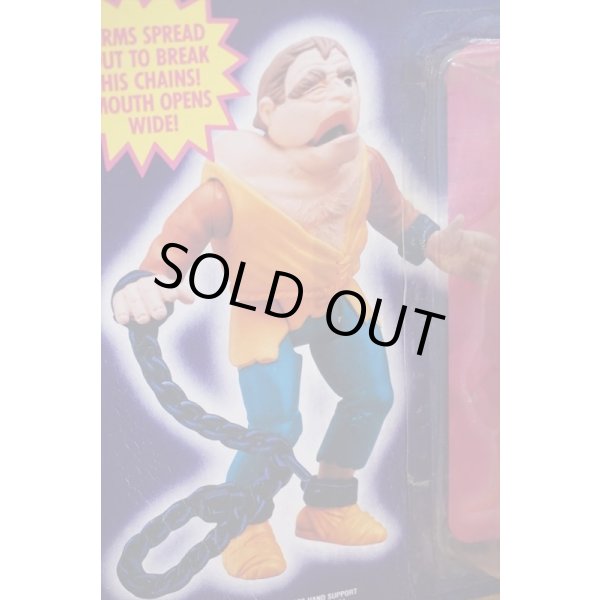 画像3: The Quasimodo Monster (3)