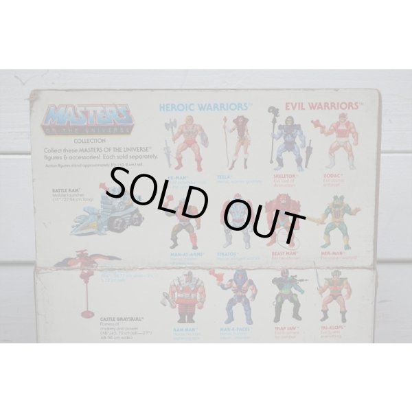 画像4: 国内輸入版 WIND RAIDER  (4)