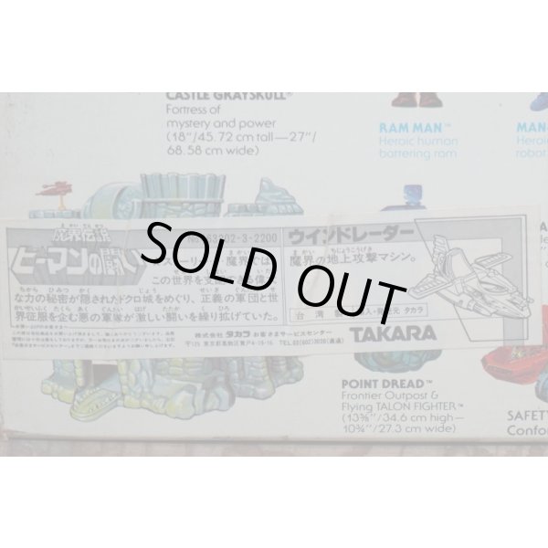 画像6: 国内輸入版 WIND RAIDER  (6)