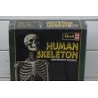 画像4: Revell HUMAN SKELETON  (4)