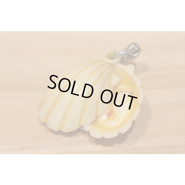 画像6: 貝殻 秘宝館 キーホルダー (6)