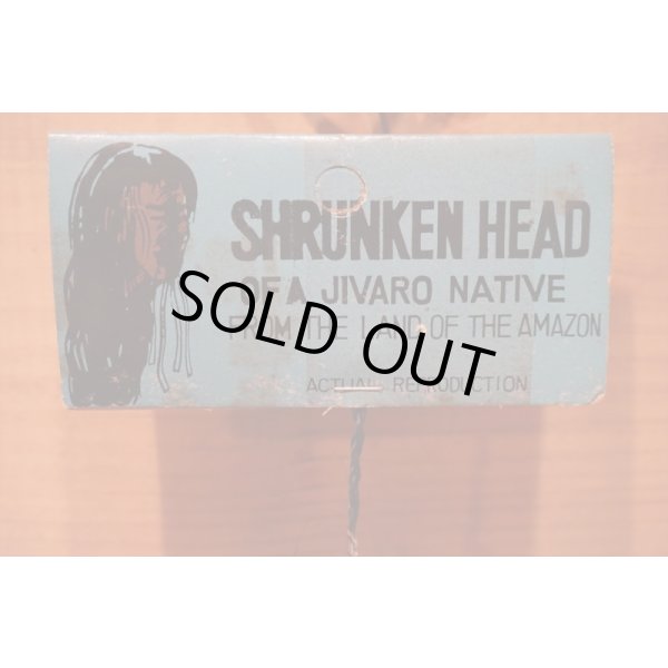 画像7: SHRUNKEN HEAD (7)
