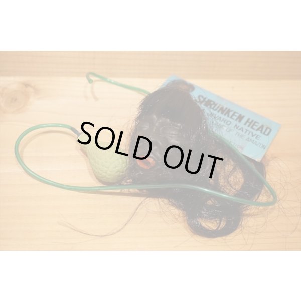 画像5: SHRUNKEN HEAD (5)