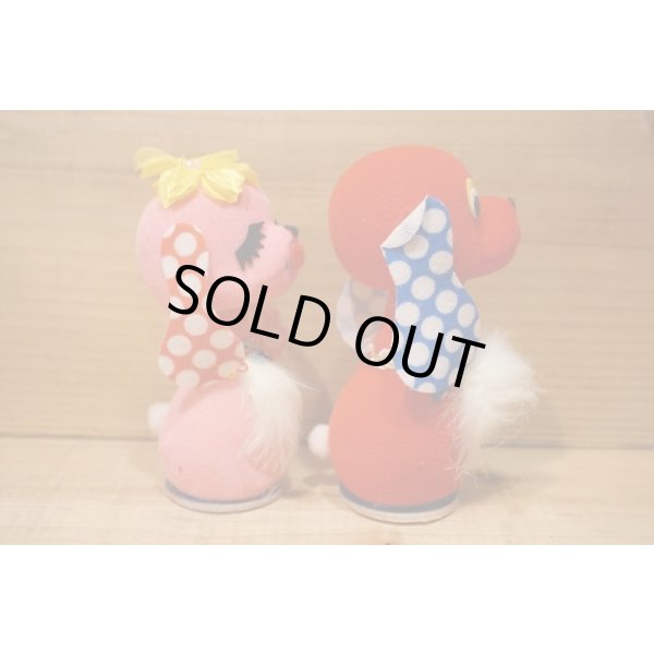 画像6: キスドック / Kiss dog 【C】 (6)