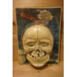 画像1: 80s SKULL HALLOWEEN NIGHT LITE (1)