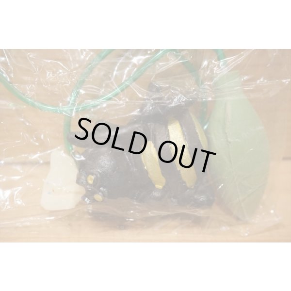 画像3: クモのヌード出し (3)