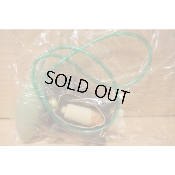 画像4: クモのヌード出し (4)