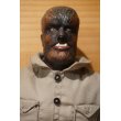 画像2: HASBRO WOLFMAN (2)