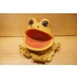 画像4: Frog Soap Dish (4)