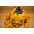 画像5: SHAKIN MUTANT PUMPKIN (5)