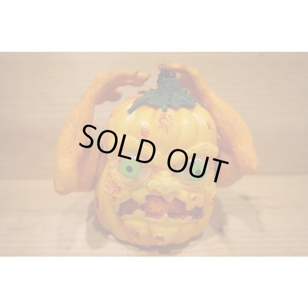 画像4: SHAKIN MUTANT PUMPKIN (4)