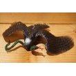 画像3: ゴム製 ヘビを食べる鷲 (3)