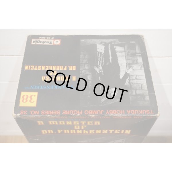 画像9: DR.FRANKENSTEIN 1/6 SCALE (9)