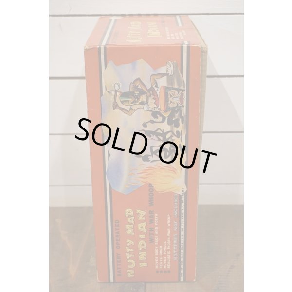 画像8: NUTTY MAD INDIAN (8)