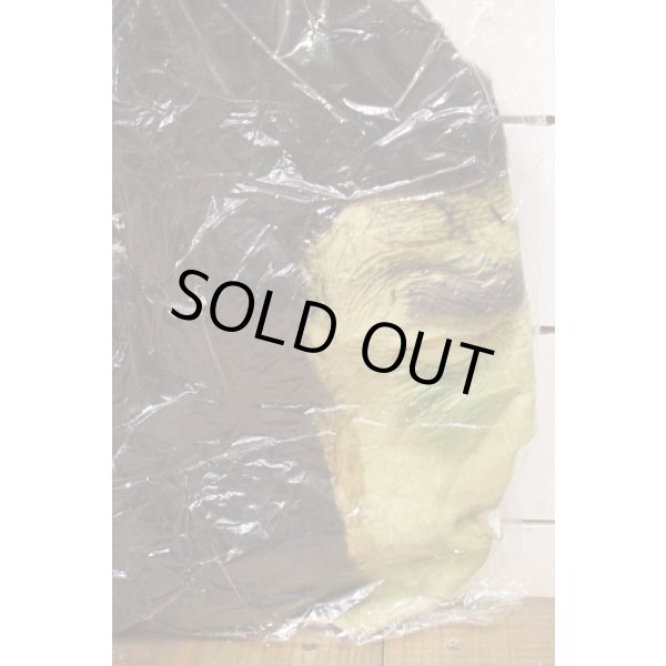 画像3: SFモンスターかつら (3)