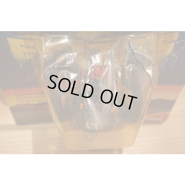 画像4: FLASH FRITES (4)