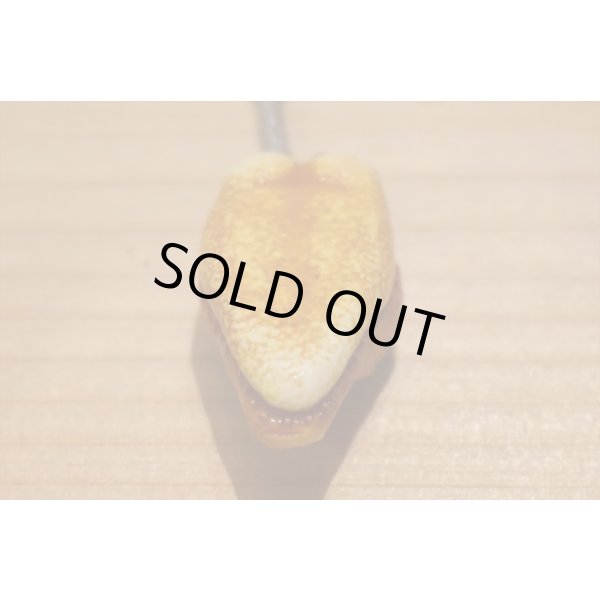 画像5: ワニ型 秘宝館 キーホルダー 【1】 (5)